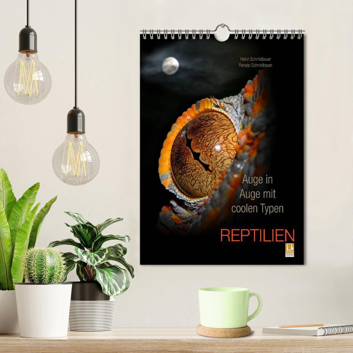 Bild: 9783457015995 | Auge in Auge mit coolen Typen - REPTILIEN (Wandkalender 2025 DIN A4...