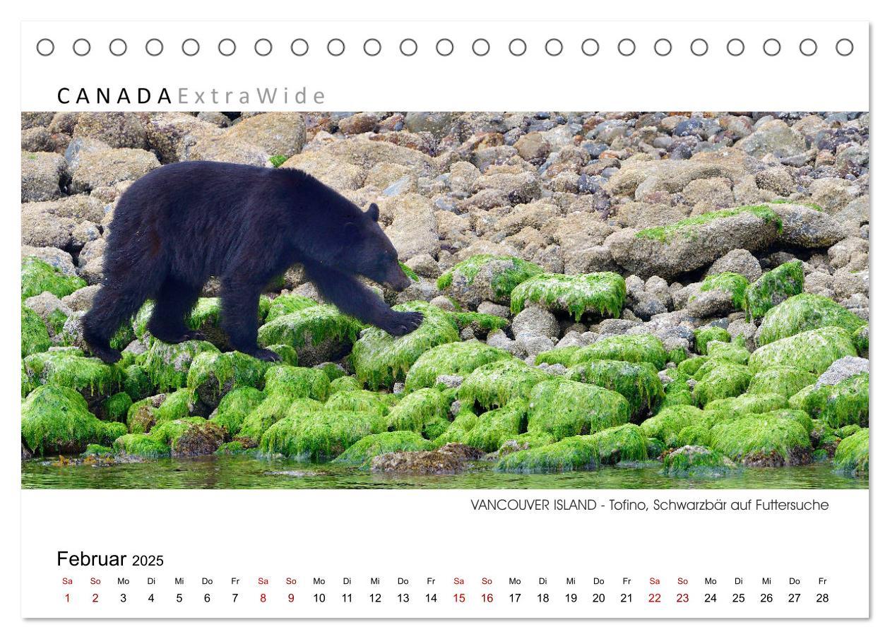 Bild: 9783383791369 | Vancouver Island Panoramabilder (Tischkalender 2025 DIN A5 quer),...