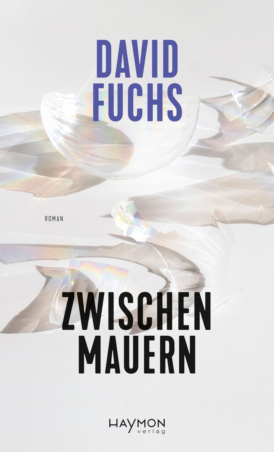 Cover: 9783709982037 | Zwischen Mauern | Roman | David Fuchs | Buch | 224 S. | Deutsch | 2024