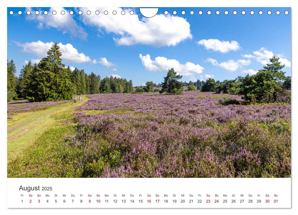 Bild: 9783457235423 | Sauerland - hier muss man mal gewesen sein (Wandkalender 2025 DIN...