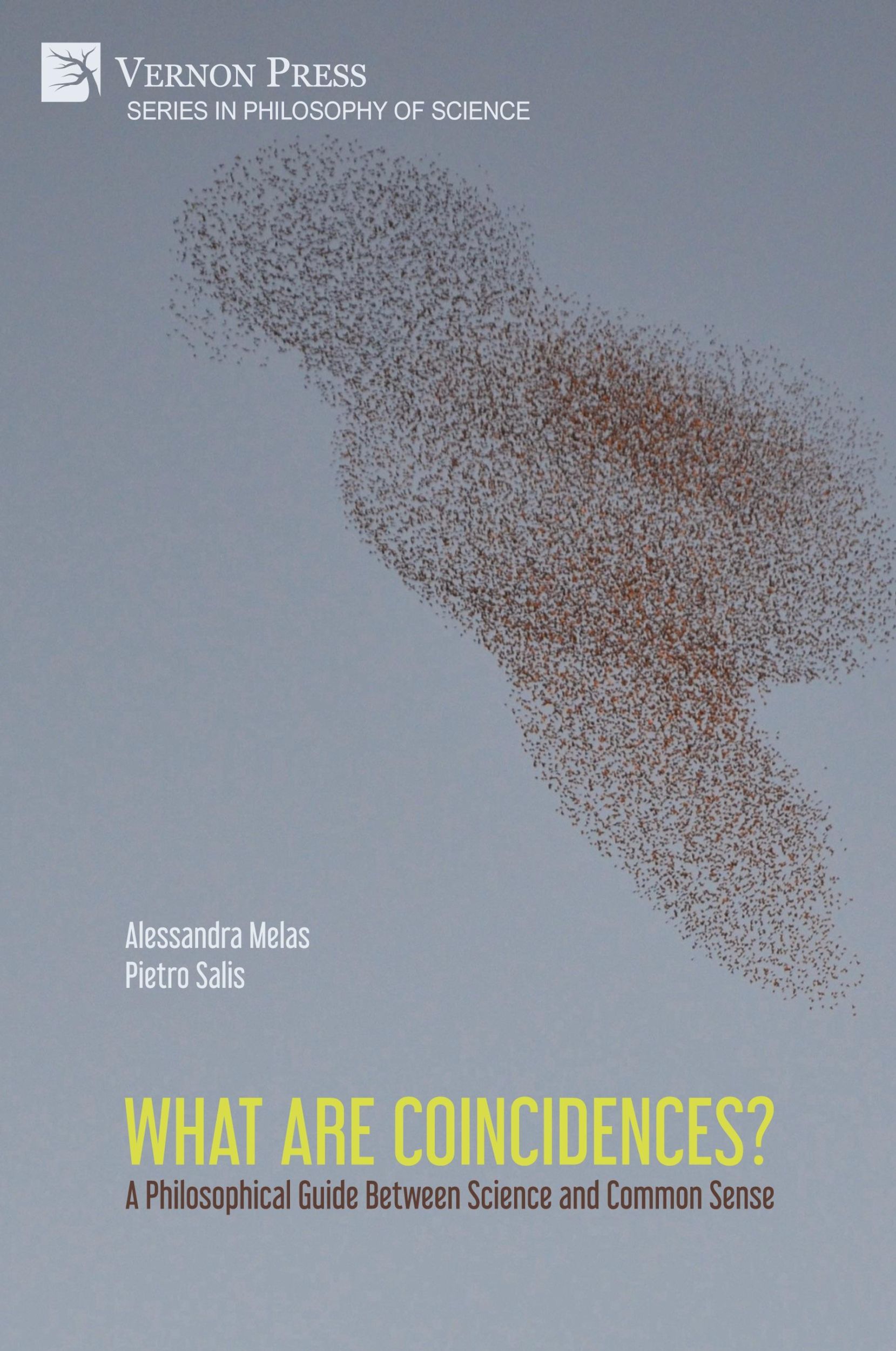 Cover: 9781648899478 | What are Coincidences? A Philosophical Guide Between Science and...