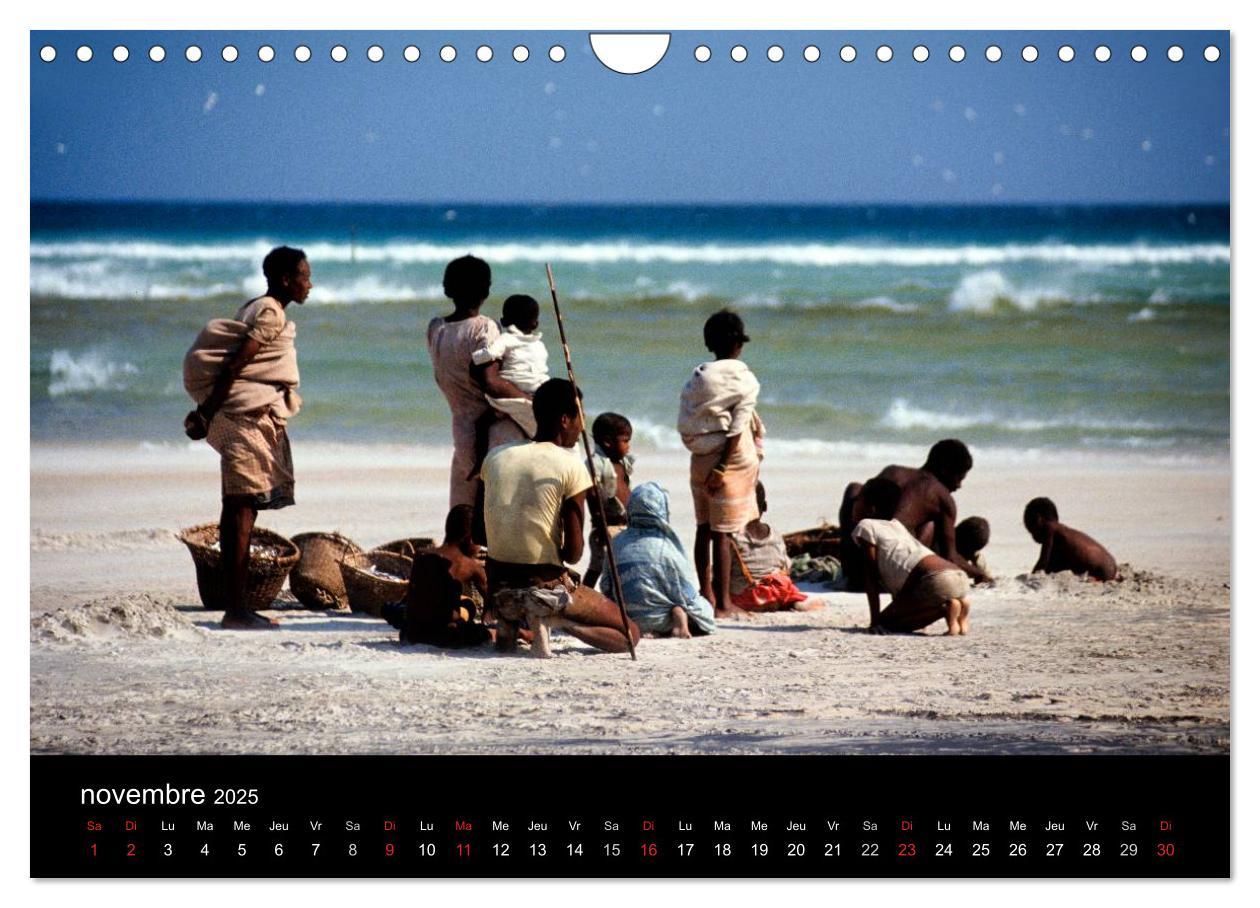 Bild: 9781325960613 | Madagascar L'île aux merveilles (Calendrier mural 2025 DIN A4...