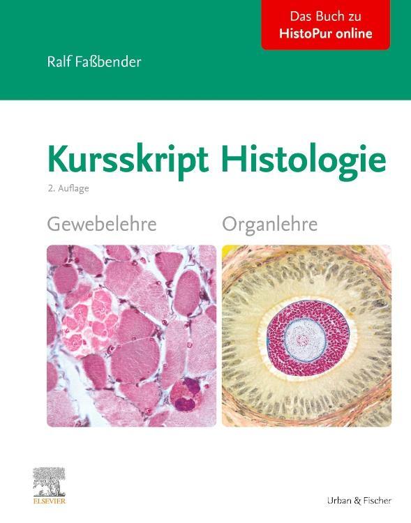 Cover: 9783437412622 | Kursskript Histologie | Ralf Faßbender | Taschenbuch | VIII | Deutsch