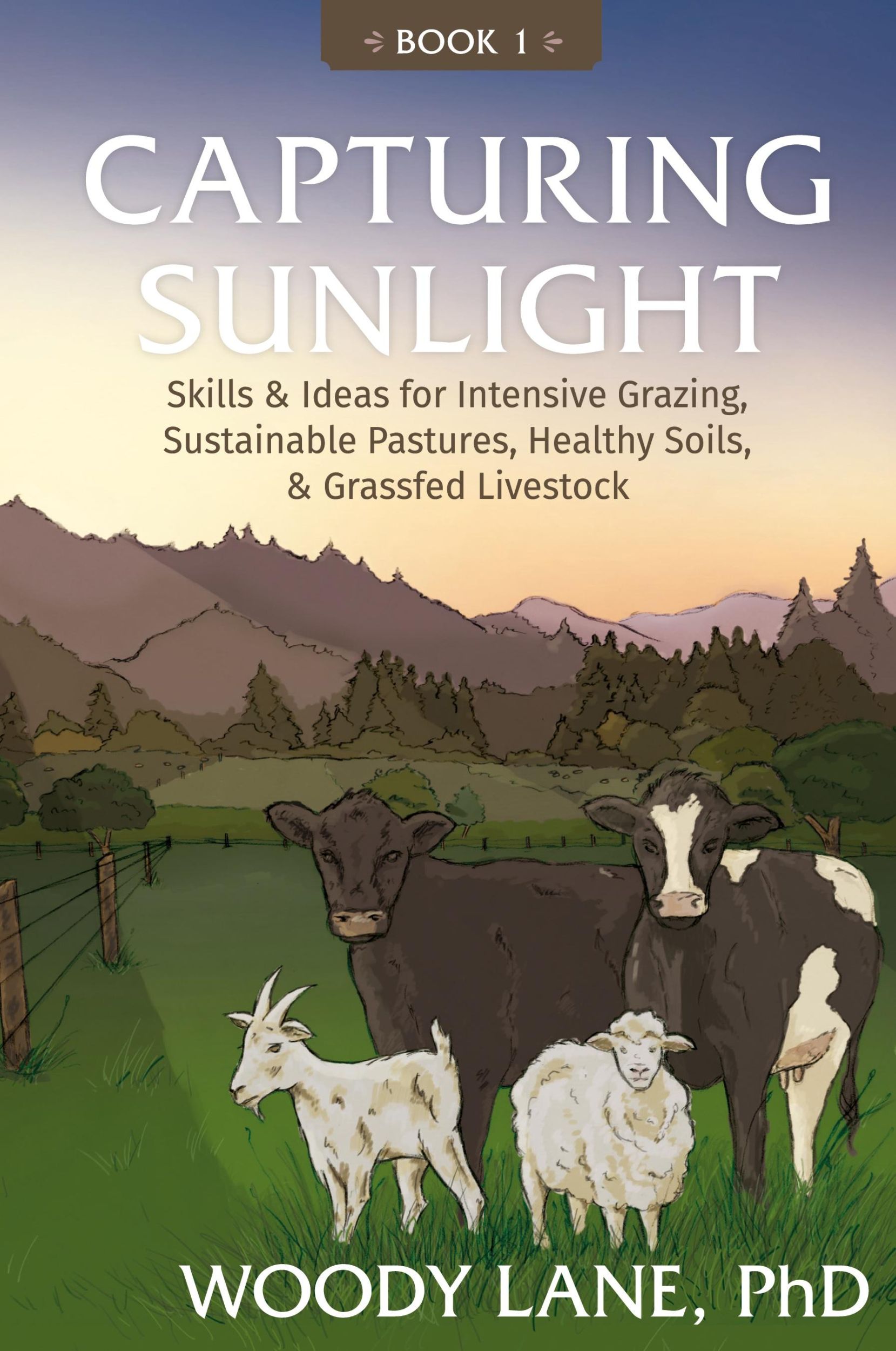 Cover: 9780983323822 | Capturing Sunlight, Book 1 | Tbd (u. a.) | Taschenbuch | Englisch