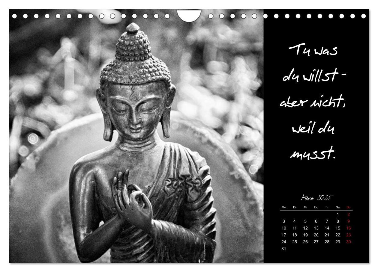 Bild: 9783435629305 | Worte des Buddha 2025 (Wandkalender 2025 DIN A4 quer), CALVENDO...