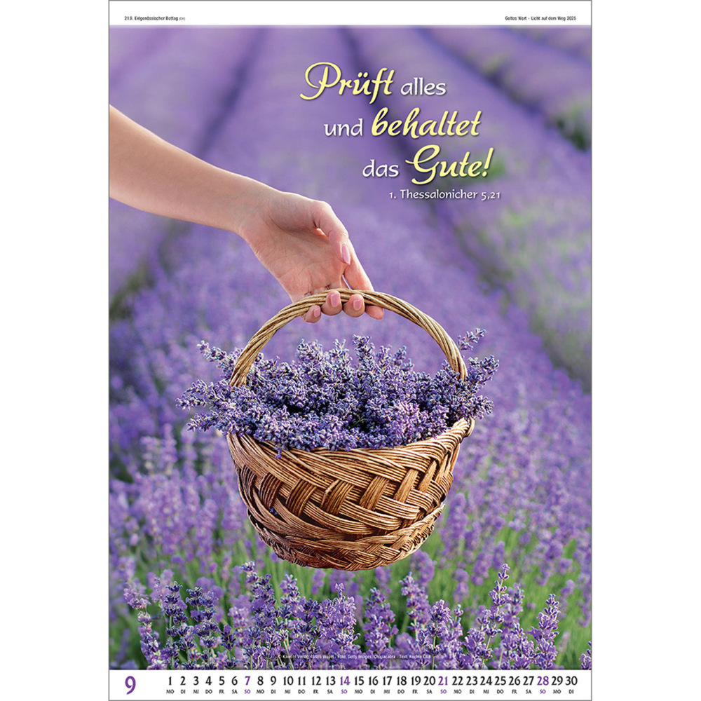 Bild: 9783754837054 | Gottes Wort - Licht auf dem Weg 2025 | Wandkalender | Kalender | 14 S.