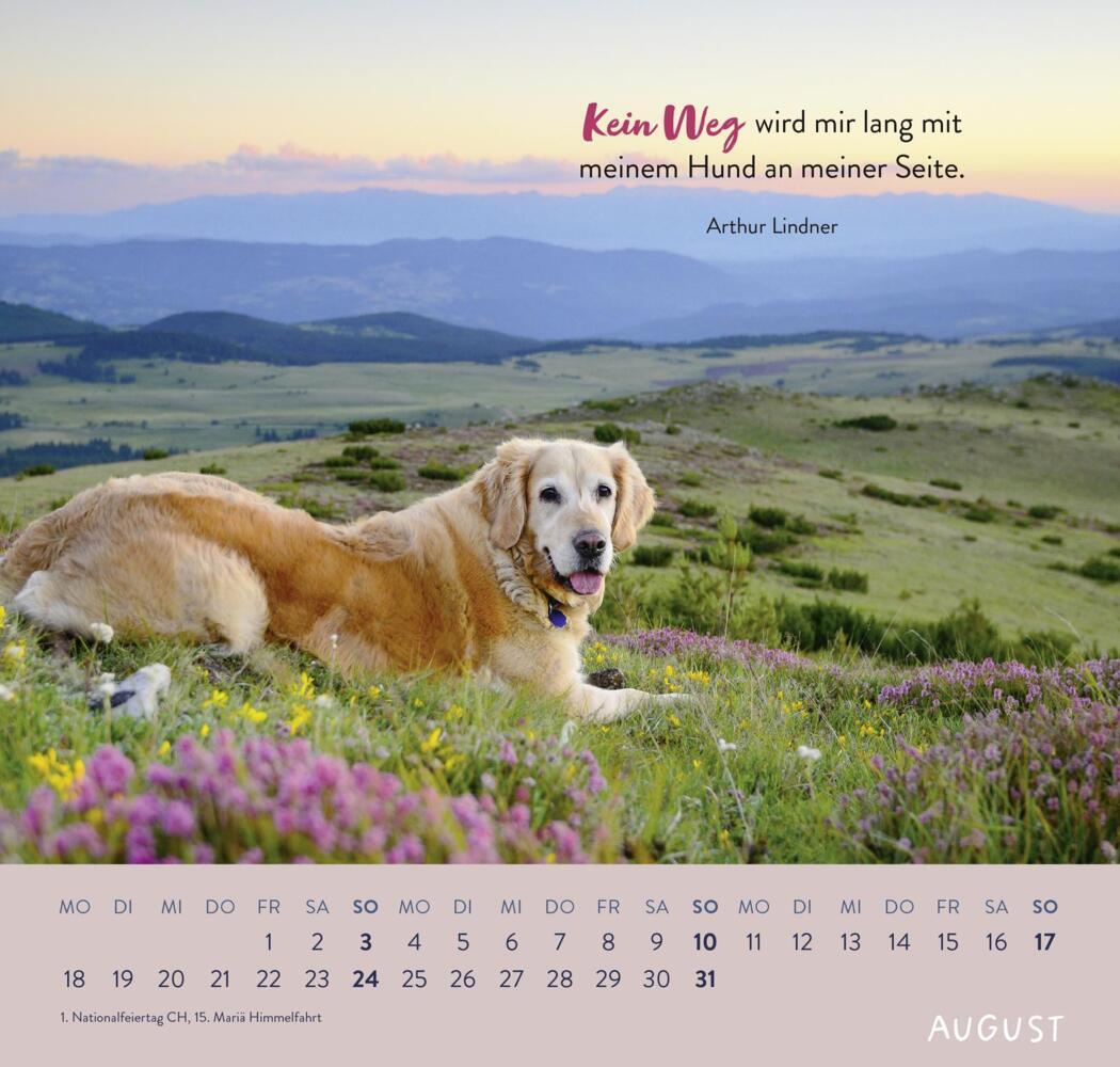 Bild: 4036442011867 | Wandkalender 2025: Für Hundefreunde | Groh Verlag | Kalender | 12 S.