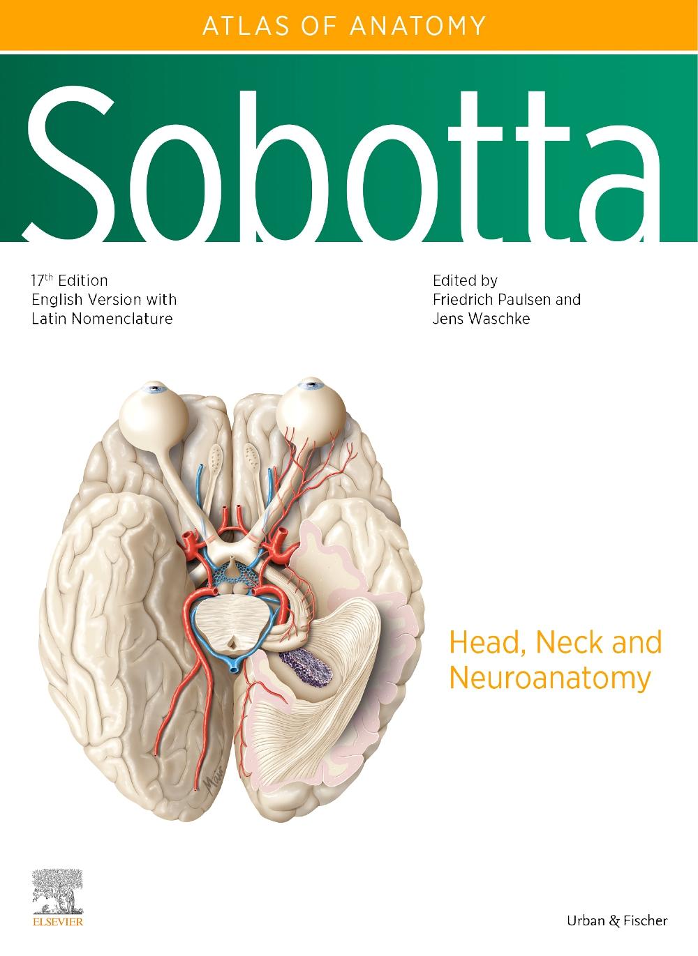 Cover: 9780702067679 | Sobotta Atlas of Anatomy, Vol. 3, 17th ed., English/Latin | Buch | XX