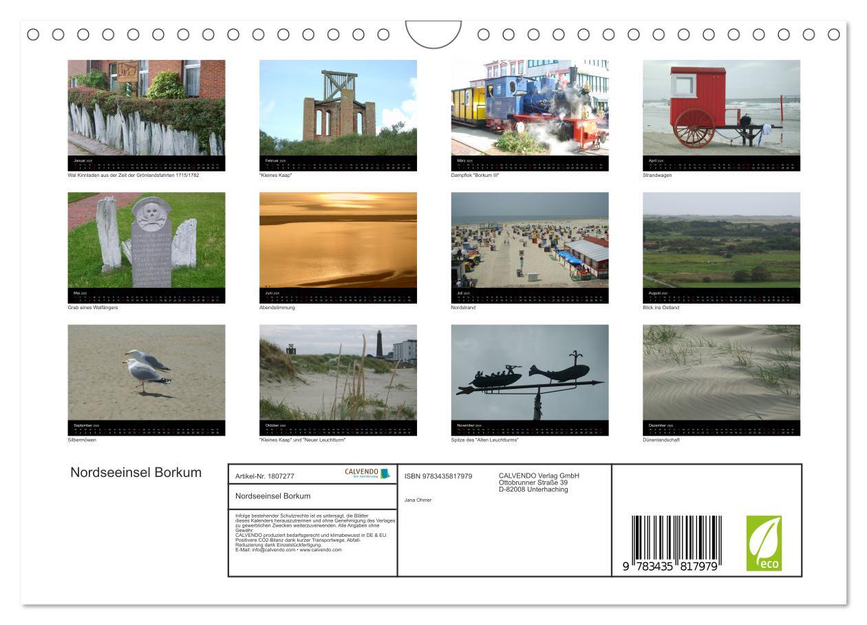 Bild: 9783435817979 | Nordseeinsel Borkum (Wandkalender 2025 DIN A4 quer), CALVENDO...