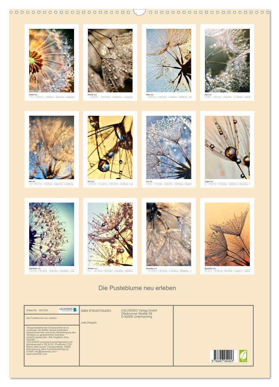 Bild: 9783457054253 | Die Pusteblume neu erleben (Wandkalender 2025 DIN A2 hoch),...