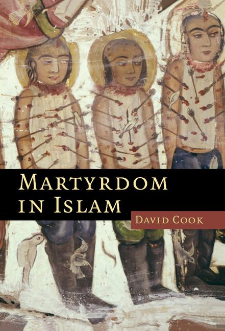 Cover: 9780521850407 | Martyrdom in Islam | David Cook | Buch | Englisch | 2014