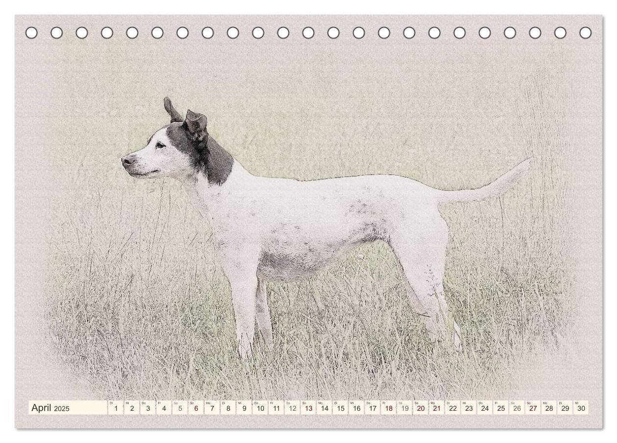 Bild: 9783435699872 | Bodeguero Andaluz 2025 (Tischkalender 2025 DIN A5 quer), CALVENDO...