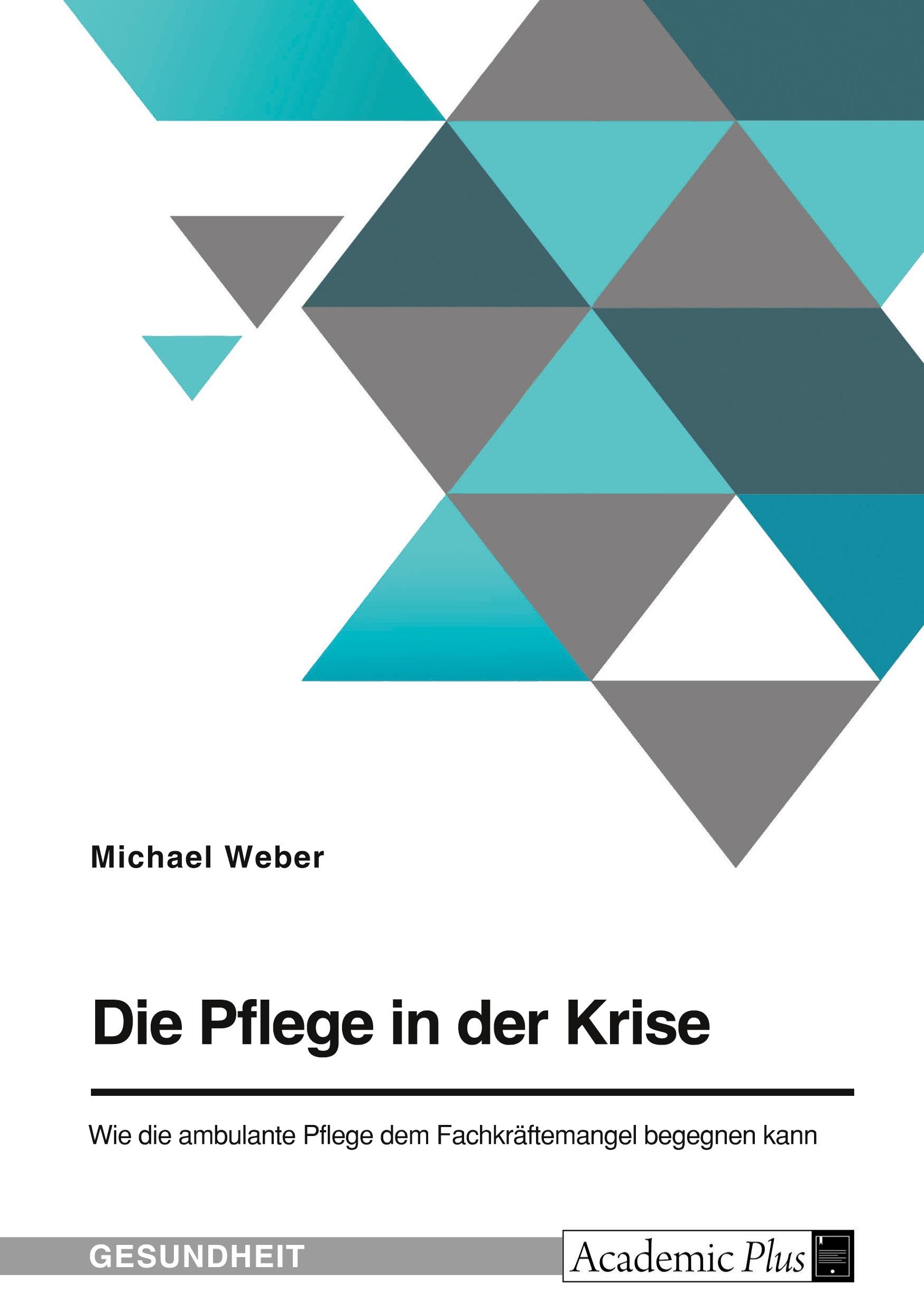 Cover: 9783346861900 | Die Pflege in der Krise. Wie die ambulante Pflege dem...