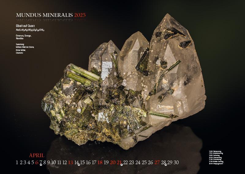 Bild: 9783957561398 | MUNDUS MINERALIS 2025 | Die Welt der Mineralien | Jörg Neubert | 2025