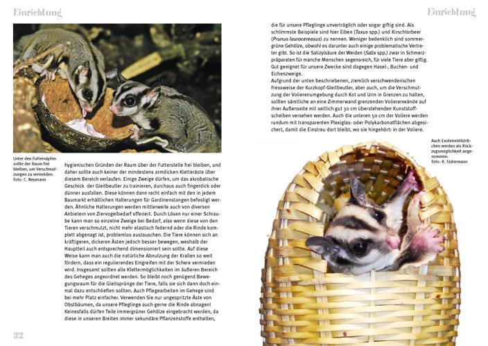 Bild: 9783866590458 | Der Sugar Glider | Art für Art | Peter Puschmann | Taschenbuch | 64 S.