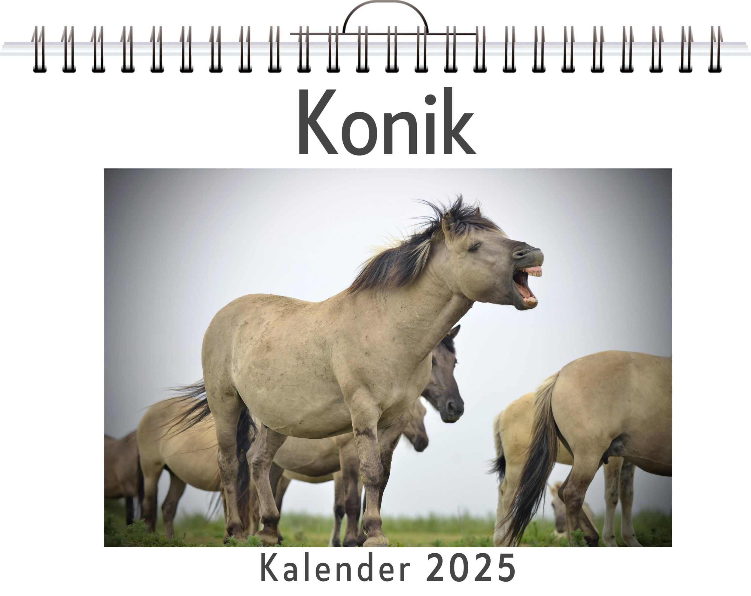 Cover: 9783759132031 | Konik | Emily Möller | Kalender | Kalender | 14 S. | Deutsch