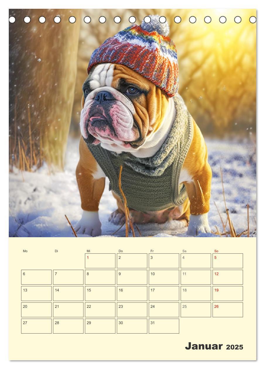 Bild: 9783435876600 | English Bulldogs. Fröhliche Dickköpfe mit Charakter (Tischkalender...