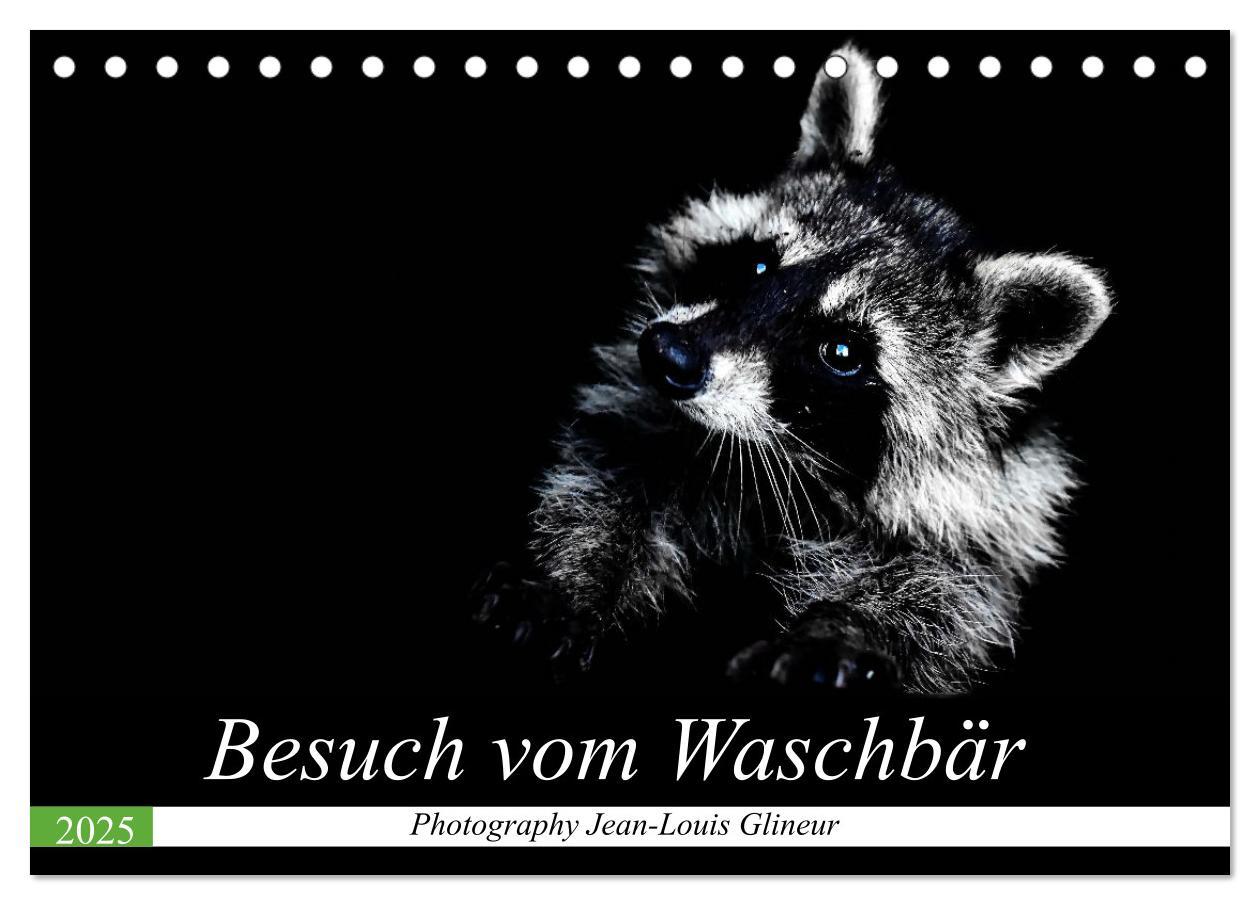 Cover: 9783435228706 | Besuch vom Waschbär (Tischkalender 2025 DIN A5 quer), CALVENDO...