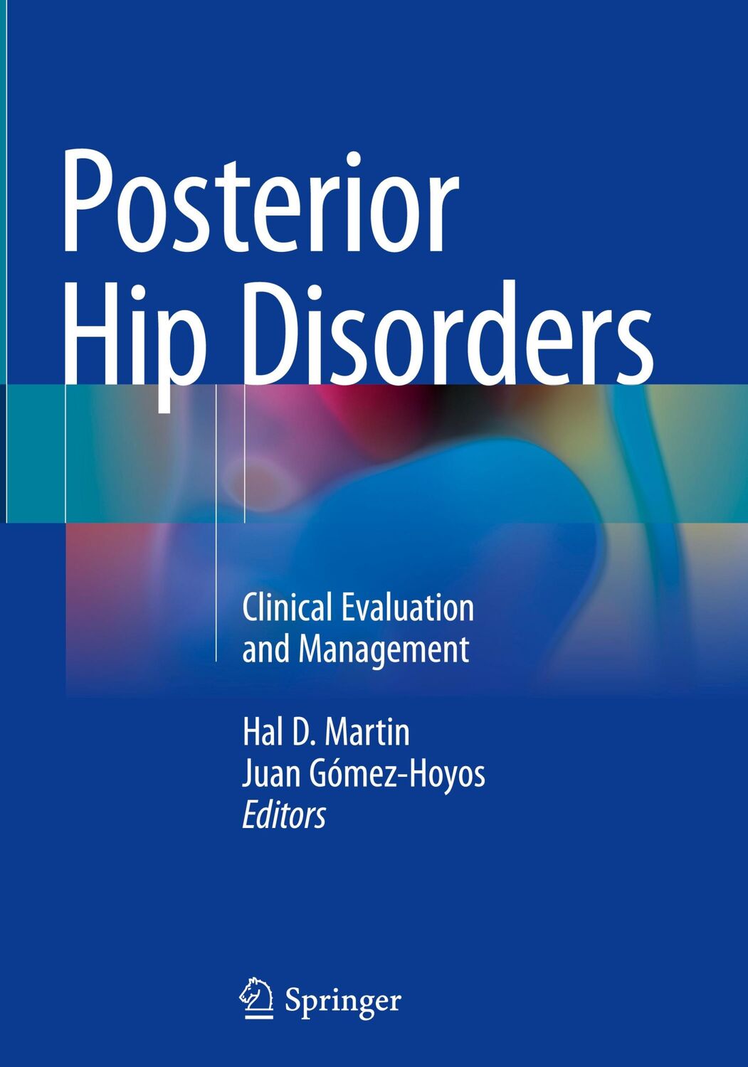 Cover: 9783319780382 | Posterior Hip Disorders | Clinical Evaluation and Management | Buch