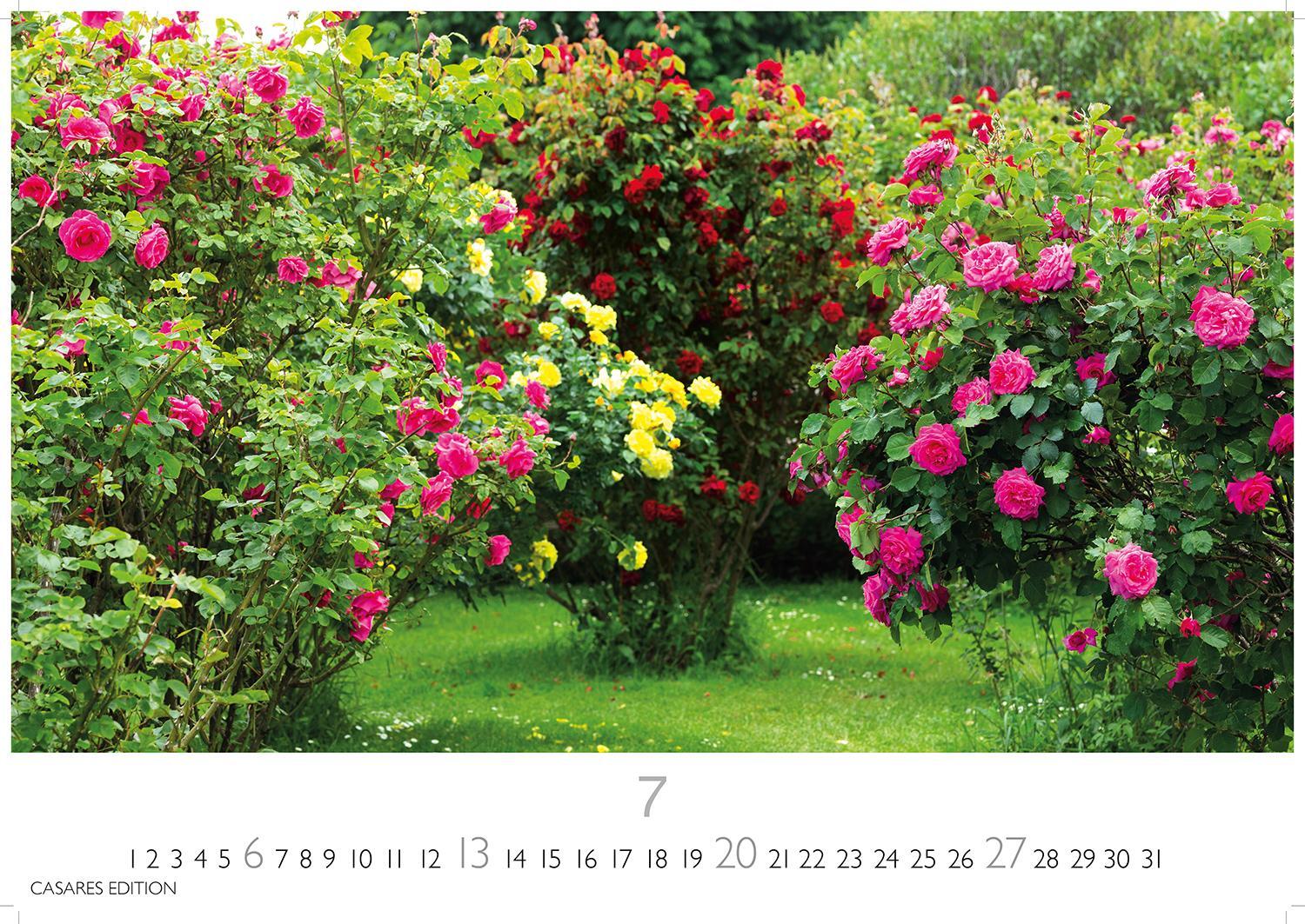 Bild: 9781835242247 | Gartenparadiese 2025 L 35x50cm | Kalender | 14 S. | Deutsch | 2025