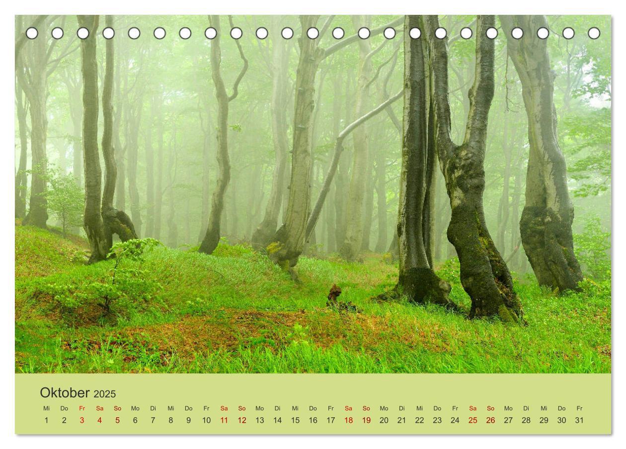 Bild: 9783435183951 | Das Erzgebirge Welterbe und Natur (Tischkalender 2025 DIN A5 quer),...