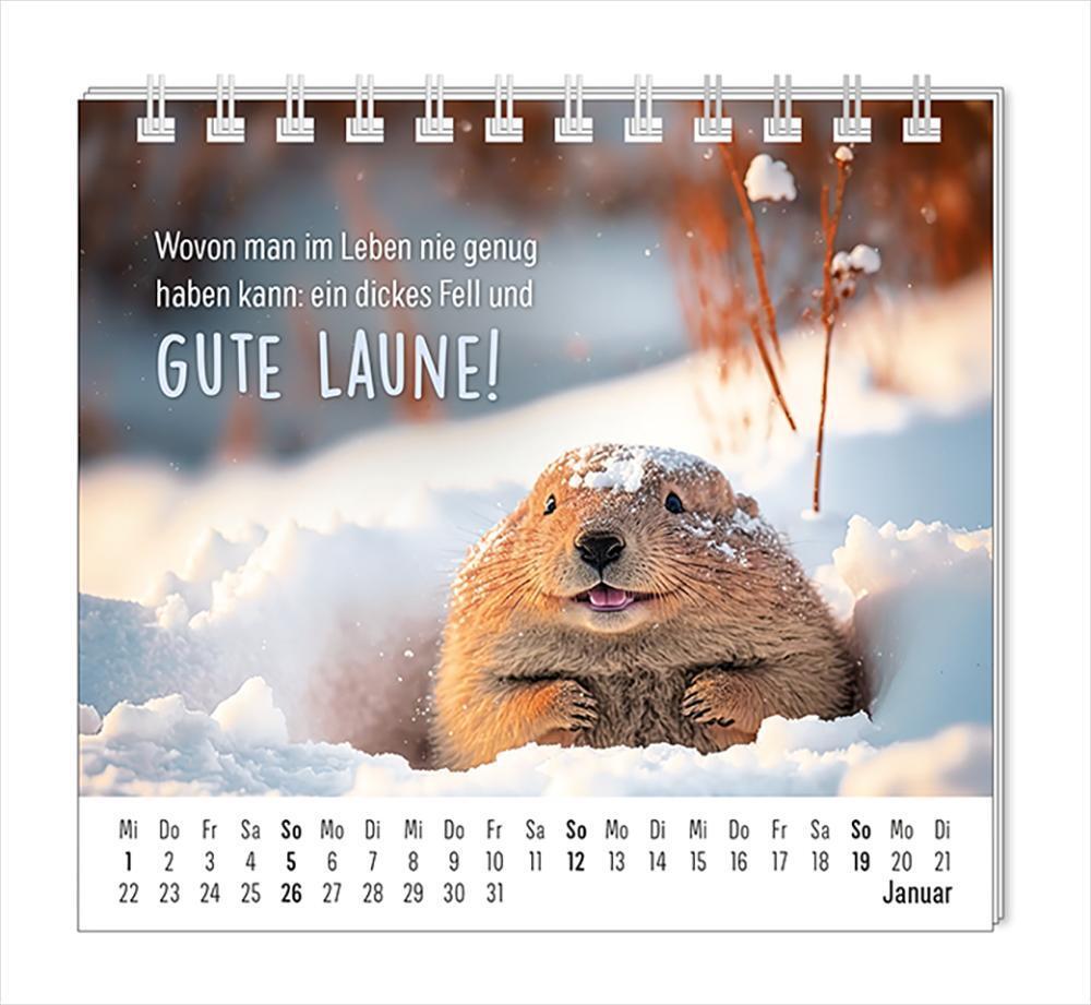 Bild: 9783986361099 | Mini-Kalender 2025 Happymacher | Mini-Kalender | Original | Kalender