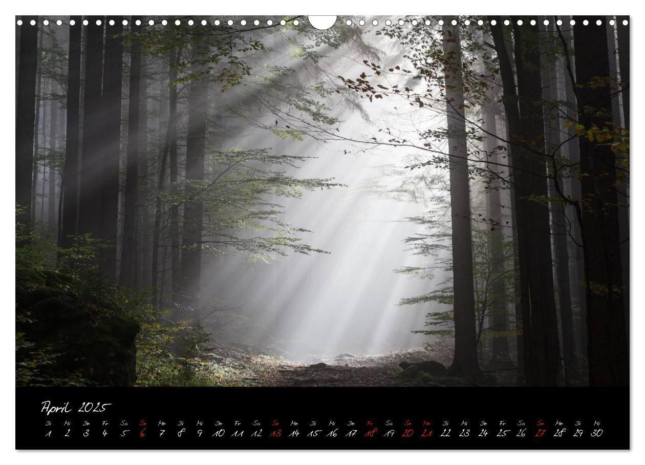 Bild: 9783435810550 | Bayerischer Wald (Wandkalender 2025 DIN A3 quer), CALVENDO...