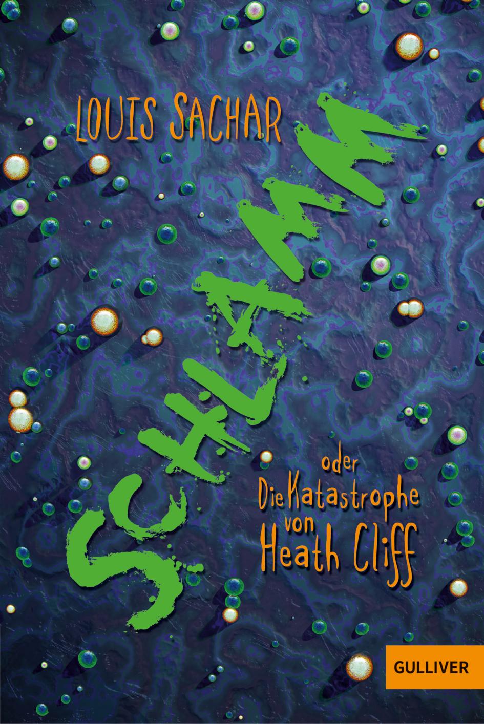 Cover: 9783407748652 | Schlamm oder Die Katastrophe von Heath Cliff | Louis Sachar | Buch