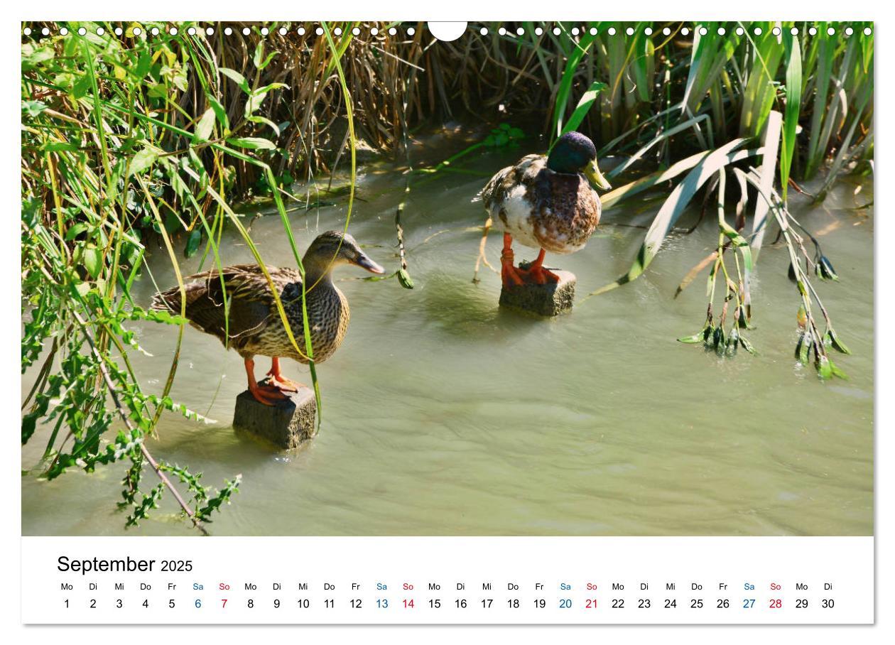 Bild: 9783435452262 | Unterwegs am Canal du Midi (Wandkalender 2025 DIN A3 quer),...