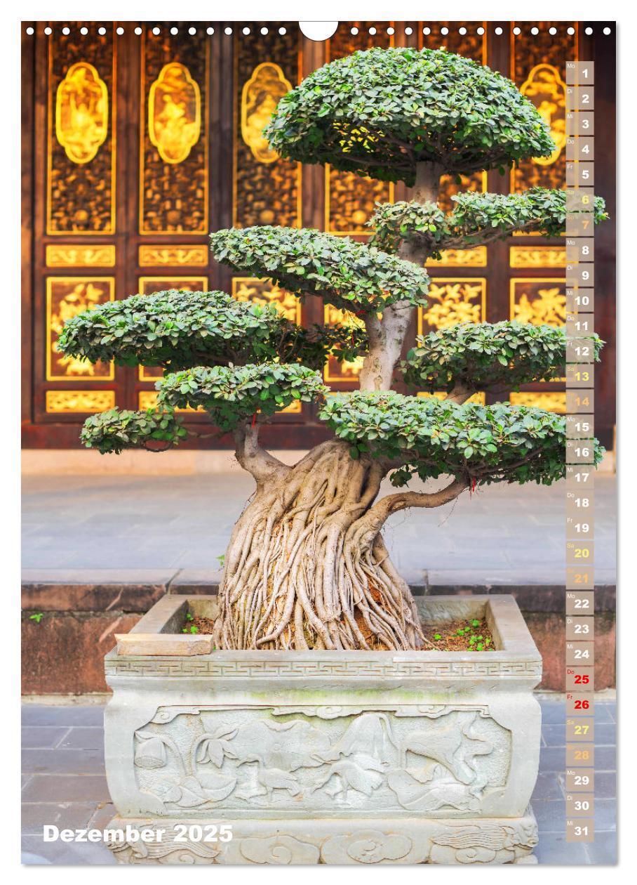 Bild: 9783435851232 | Bonsai: Gartenkunst im Kleinen (Wandkalender 2025 DIN A3 hoch),...