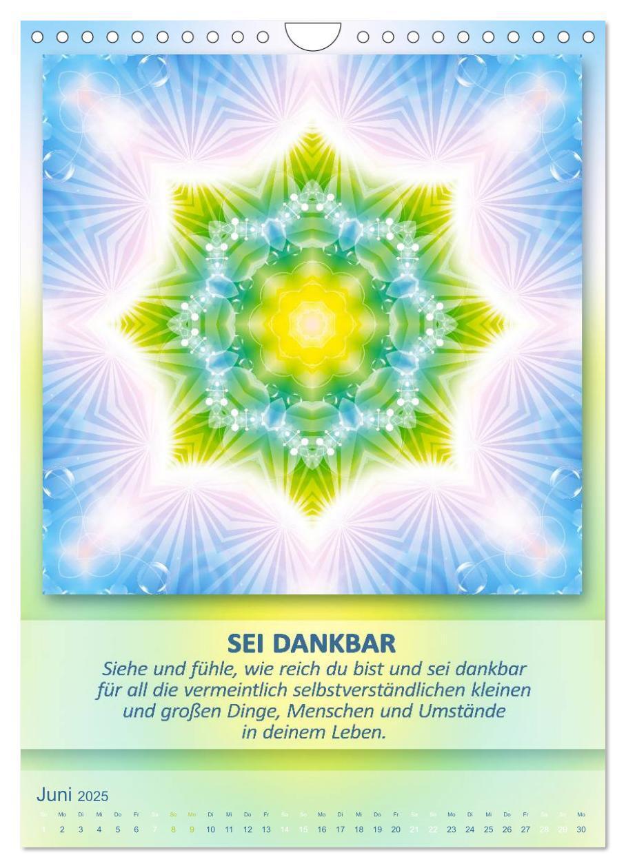 Bild: 9783457086469 | Light Energy Mandalas - Kalender - Vol. 1 (Wandkalender 2025 DIN A4...