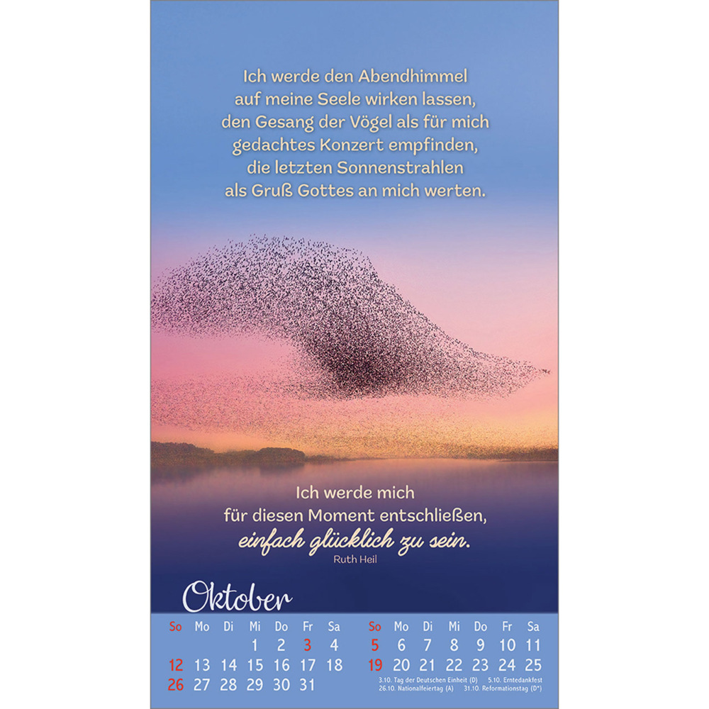 Bild: 9783754879757 | Beflügelt und geborgen | Vögel 2025 | Kalender | 13 S. | Deutsch