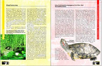 Bild: 9783931587567 | Schildkröten im Gartenteich | Veronika Müller (u. a.) | Taschenbuch