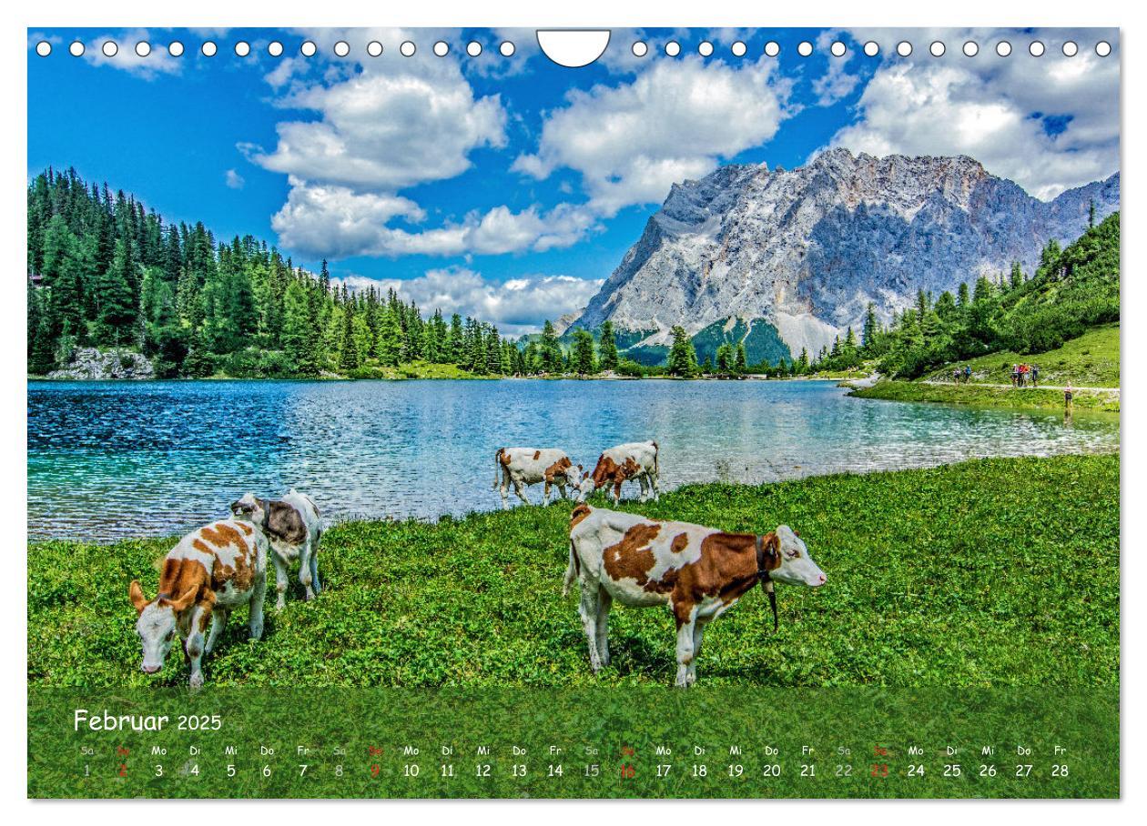 Bild: 9783435317219 | Naturparadies Zugspitzarena (Wandkalender 2025 DIN A4 quer),...