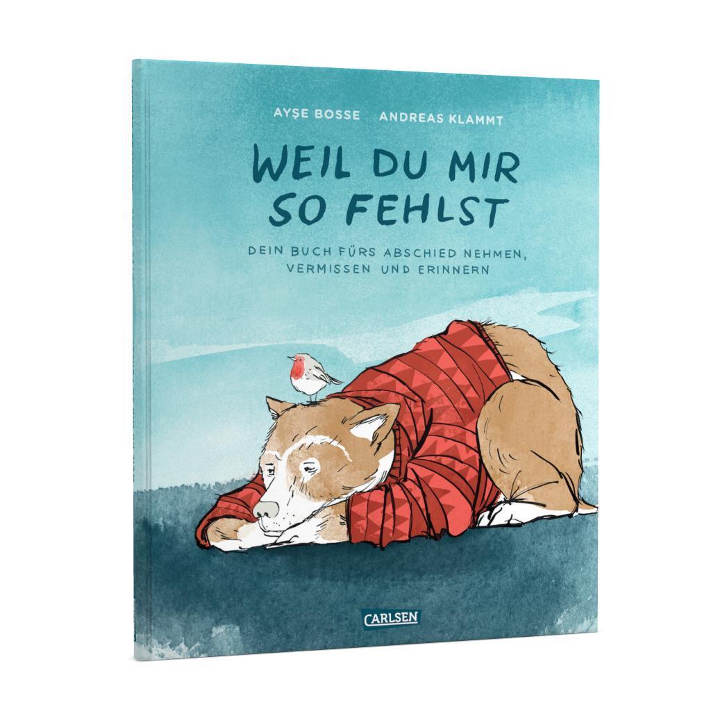 Bild: 9783551518767 | Weil du mir so fehlst | mit einem Lied von BOSSE zum download | Buch