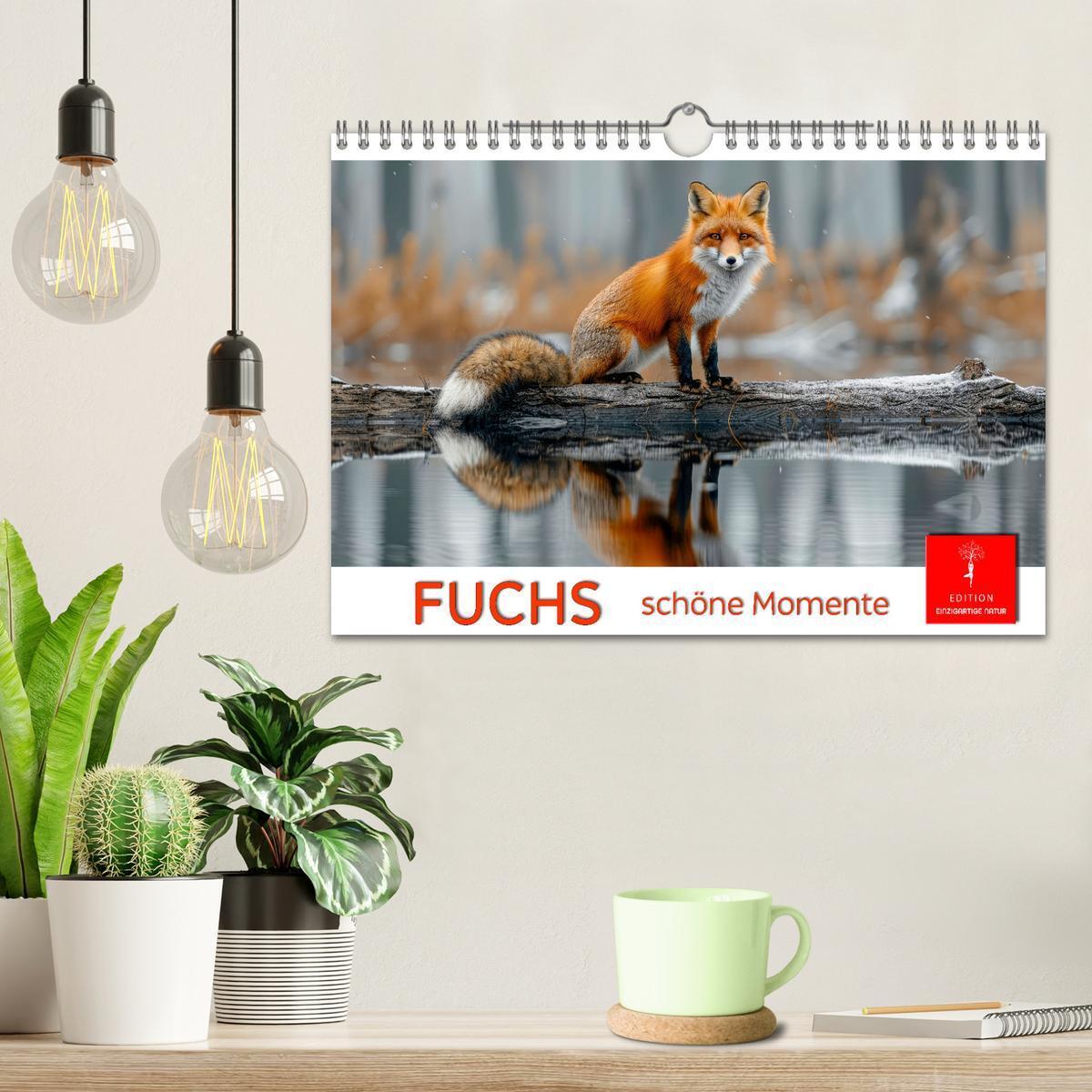 Bild: 9783383815126 | Fuchs - schöne Momente (Wandkalender 2025 DIN A4 quer), CALVENDO...