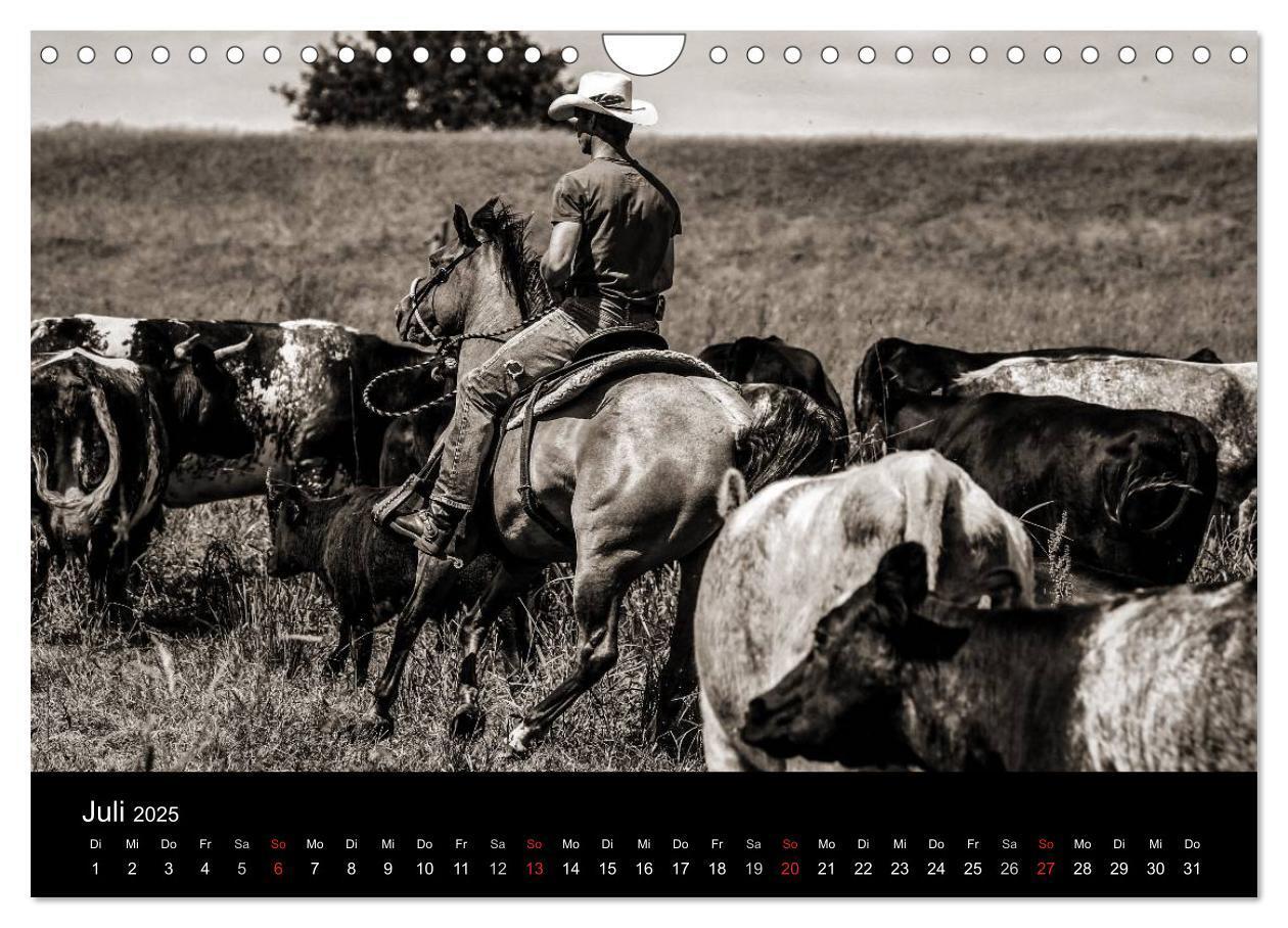 Bild: 9783435570072 | Westernreiten (Wandkalender 2025 DIN A4 quer), CALVENDO Monatskalender