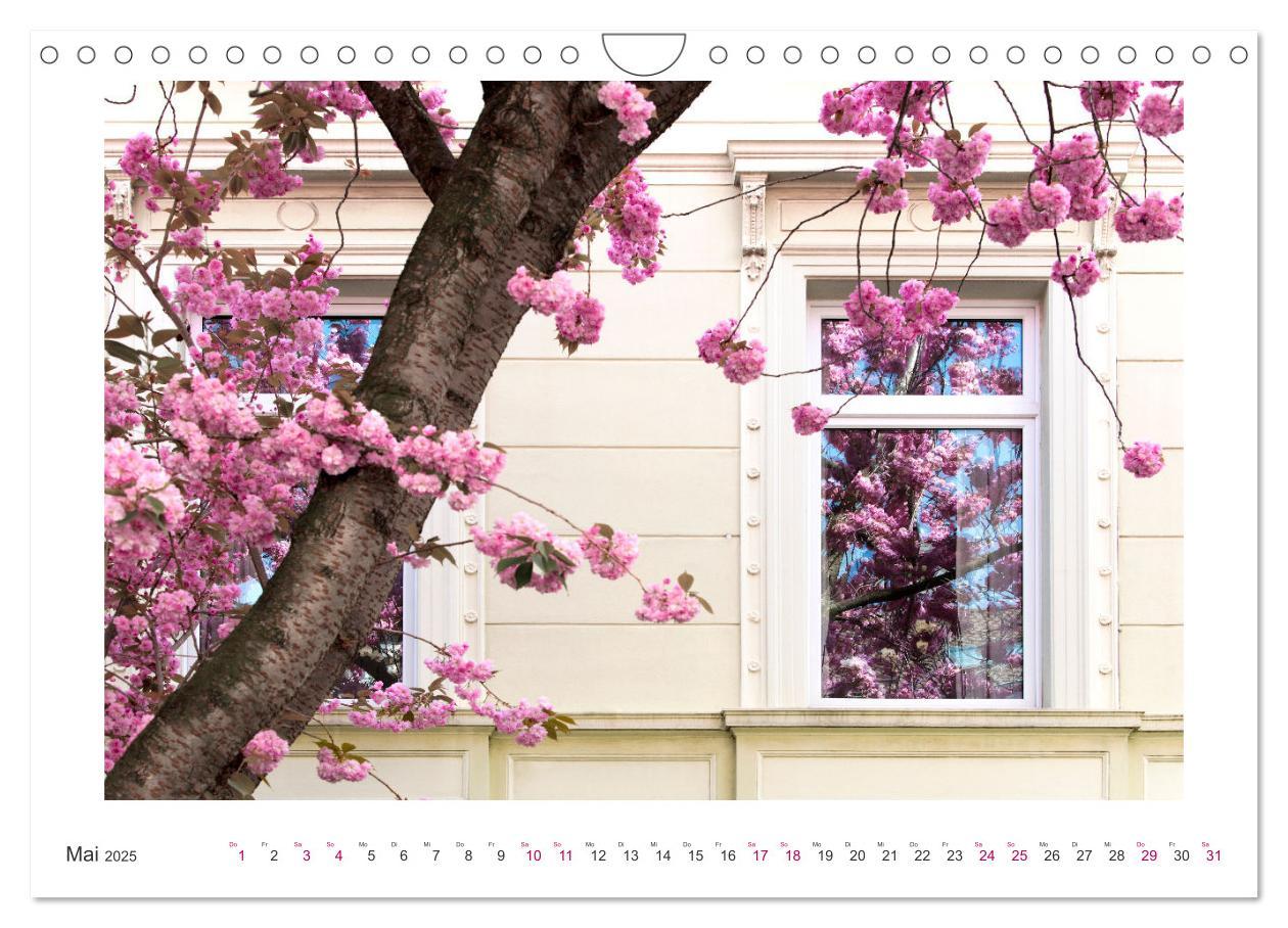 Bild: 9783457128084 | Japanische Kirschblüte in Bonn (Wandkalender 2025 DIN A4 quer),...