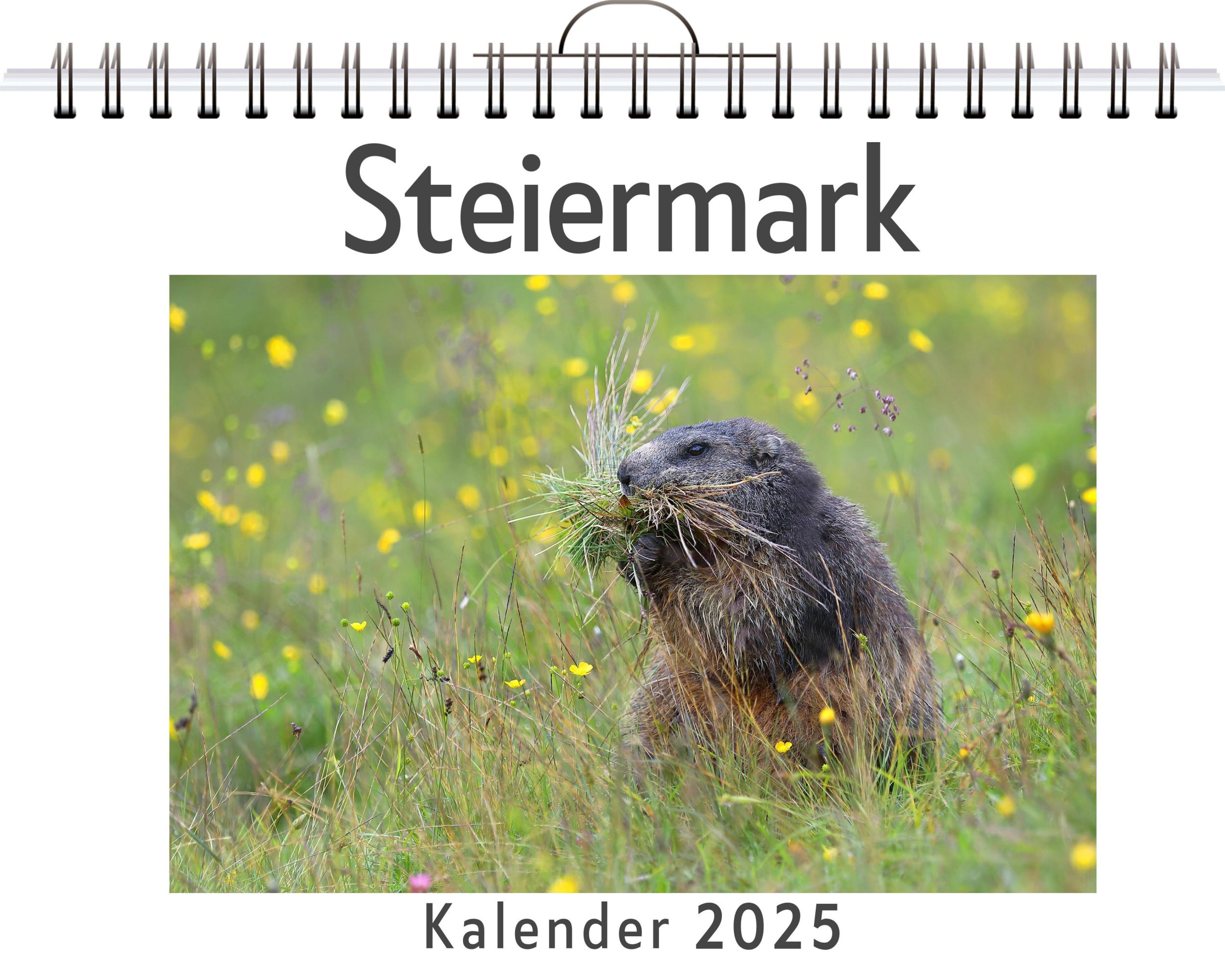 Cover: 9783759131485 | Steiermark | Theo Vogel | Kalender | Kalender | 14 S. | Deutsch