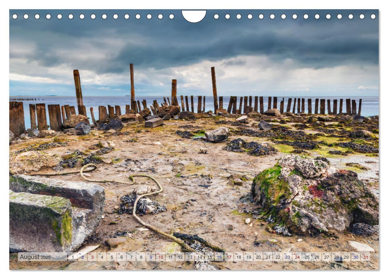 Bild: 9783435106769 | Texel - Kleine Insel, große Vielfalt (Wandkalender 2025 DIN A4...