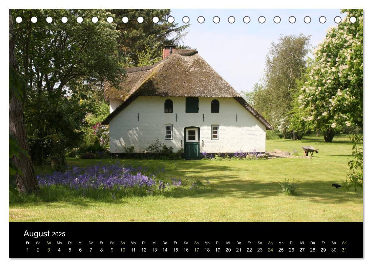 Bild: 9783435785735 | Die Insel Amrum (Tischkalender 2025 DIN A5 quer), CALVENDO...