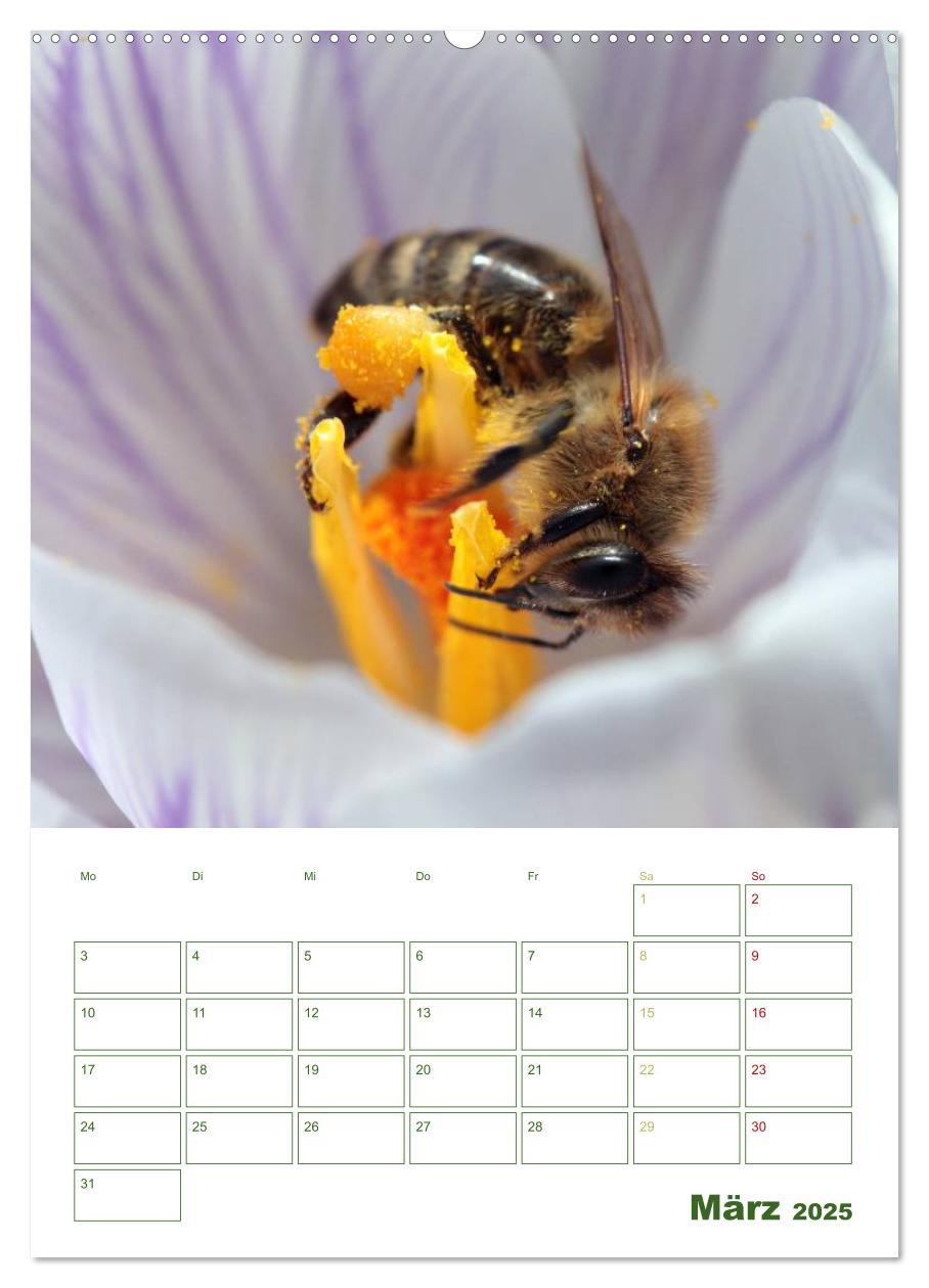 Bild: 9783457030011 | Bienen-Terminplaner 2025 (Wandkalender 2025 DIN A2 hoch), CALVENDO...