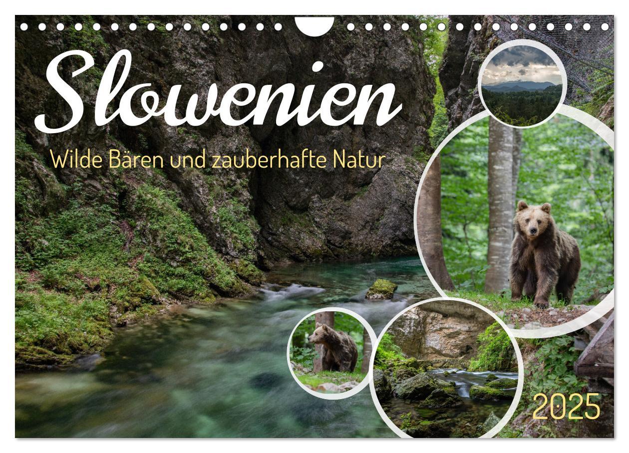 Cover: 9783383848100 | Slowenien - Wilde Bären und zauberhafte Natur (Wandkalender 2025...