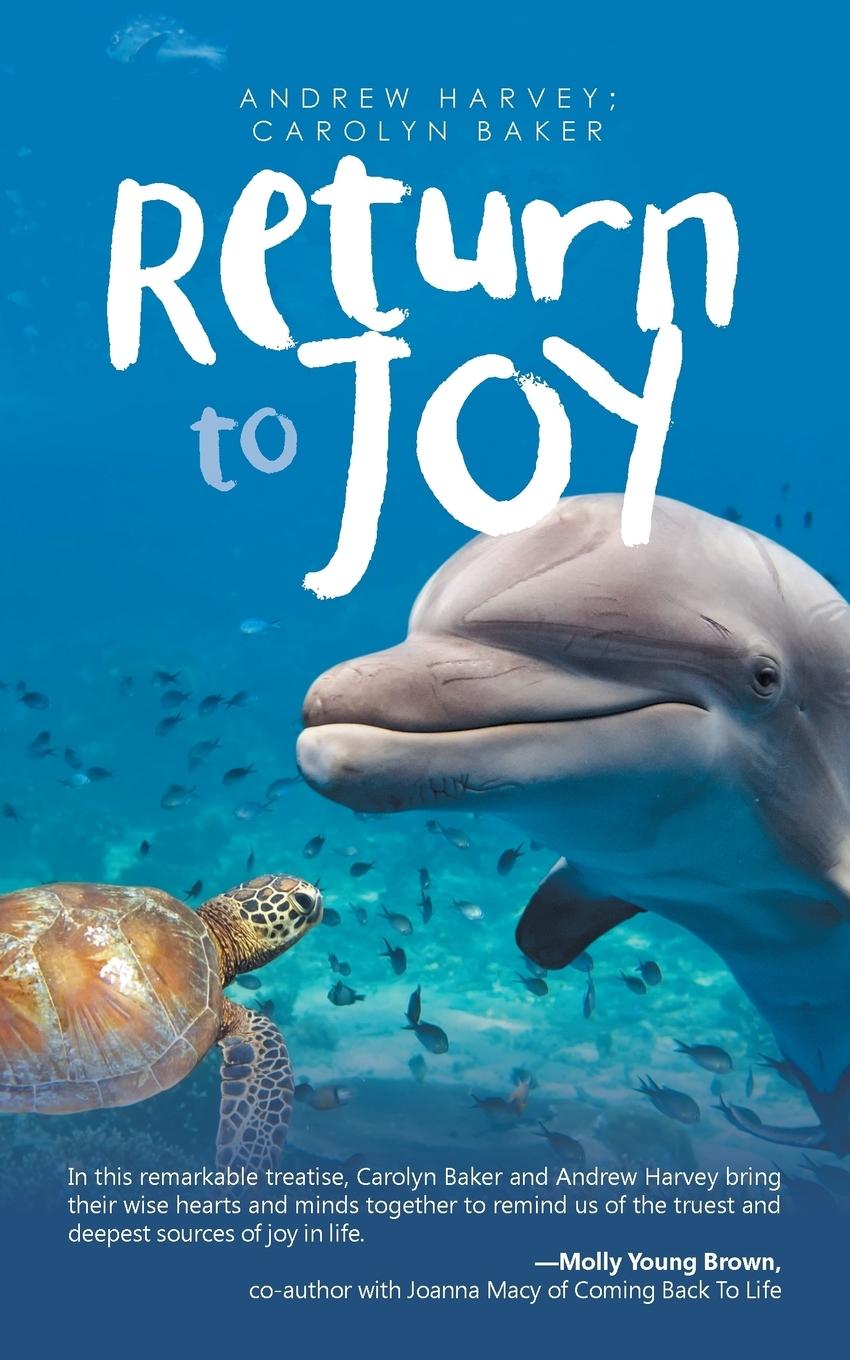 Cover: 9781532008528 | Return to Joy | Andrew Harvey (u. a.) | Taschenbuch | Paperback | 2016