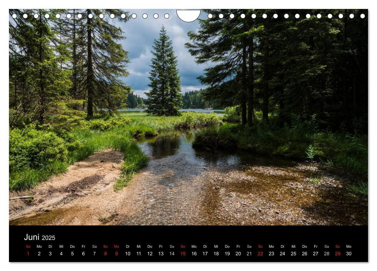 Bild: 9783435722778 | Bayerischer Wald (Wandkalender 2025 DIN A4 quer), CALVENDO...