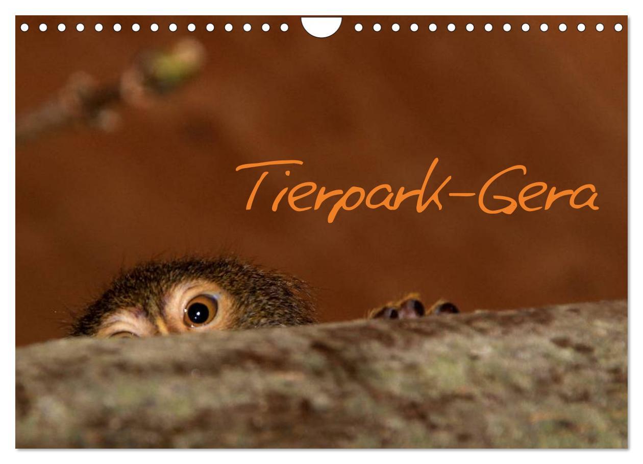 Cover: 9783435778942 | Tierpark-Gera (Wandkalender 2025 DIN A4 quer), CALVENDO Monatskalender