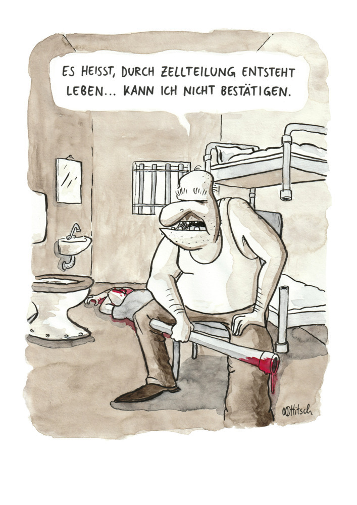 Bild: 9783903055704 | Die Liebe ist stärker als der Tod | Cartoons & Comics | Ottitsch