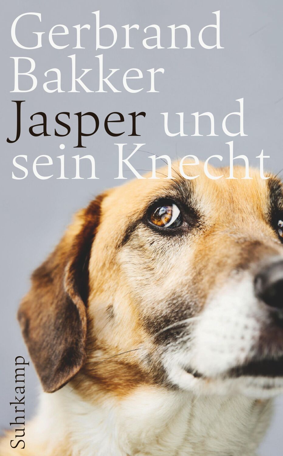 Cover: 9783518468197 | Jasper und sein Knecht | Gerbrand Bakker | Taschenbuch | 445 S. | 2017