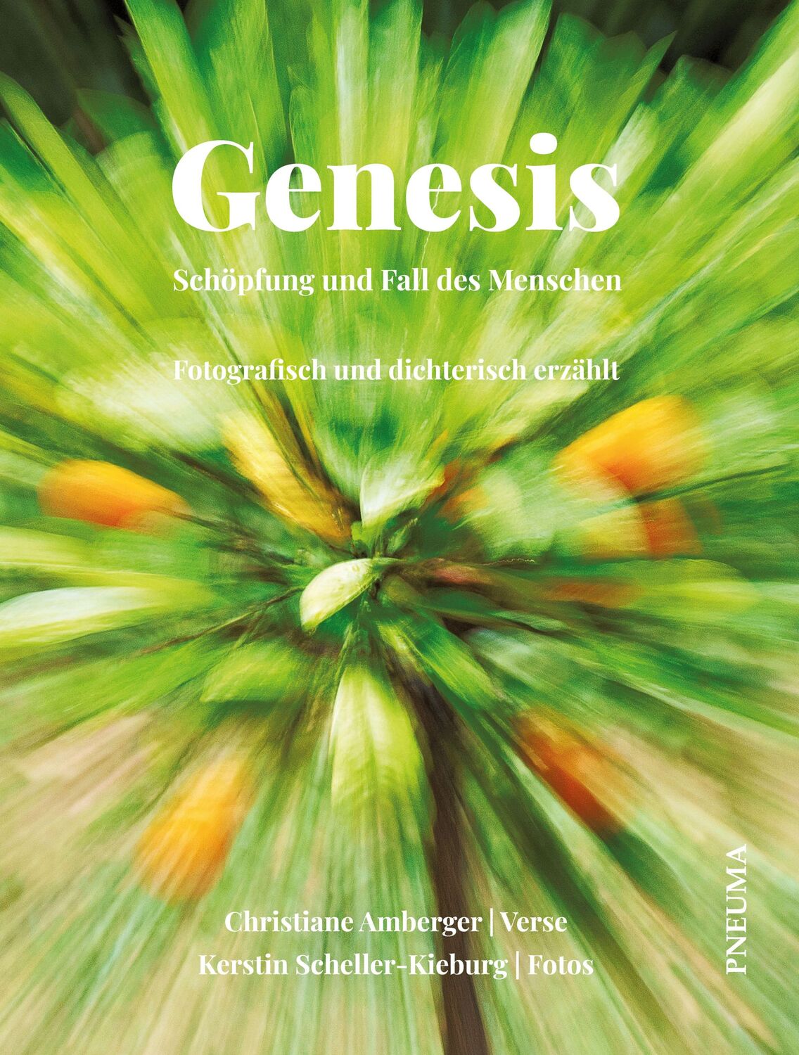 Cover: 9783942013611 | Genesis - Schöpfung und Fall des Menschen | Christiane Amberger | Buch