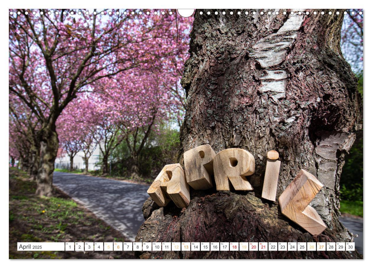 Bild: 9783383915307 | Holz, ein fantastischer Rohstoff. (Wandkalender 2025 DIN A3 quer),...